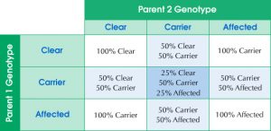 Fluffy Chart Health Testing
